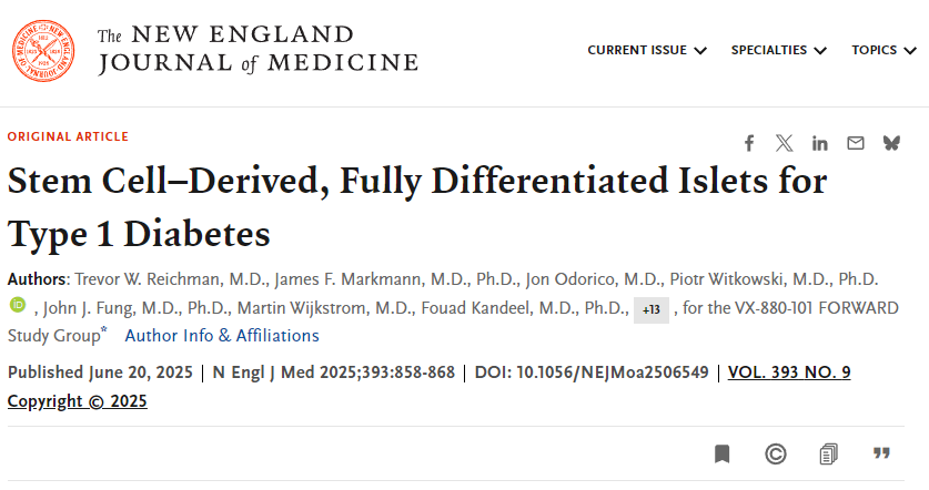 干細胞來(lái)源的完全分化胰島用于1型糖尿病治療