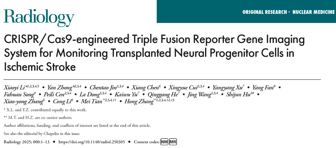 利用 CRISPR/Cas9 技術(shù)構建的三融合報告基因成像系統監測缺血性中風(fēng)中移植的神經(jīng)祖細胞