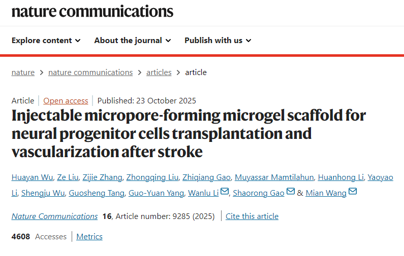 用于中風(fēng)后神經(jīng)祖細胞移植和血管化的可注射微孔形成微凝膠支