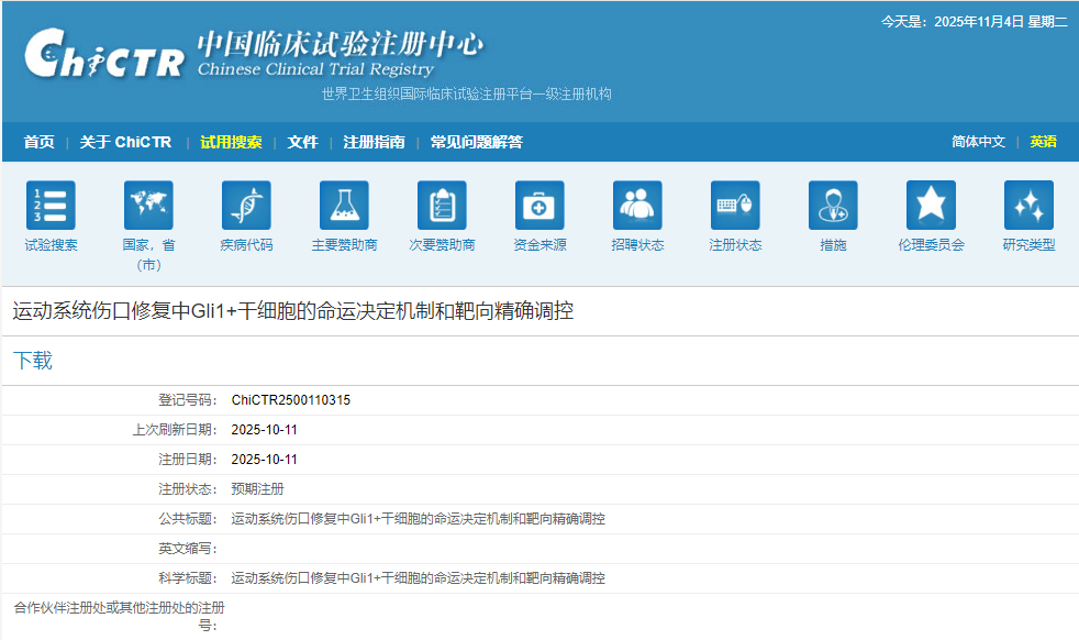 運動(dòng)系統傷口修復中Gli1+干細胞的命運決定機制和靶向精確調控