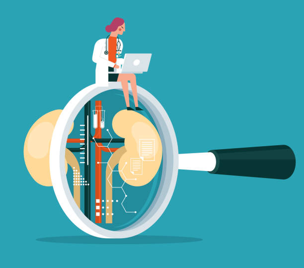 透析、腎移植還是干細胞治療？3種慢性腎病治療方法的全面比較與選擇指南