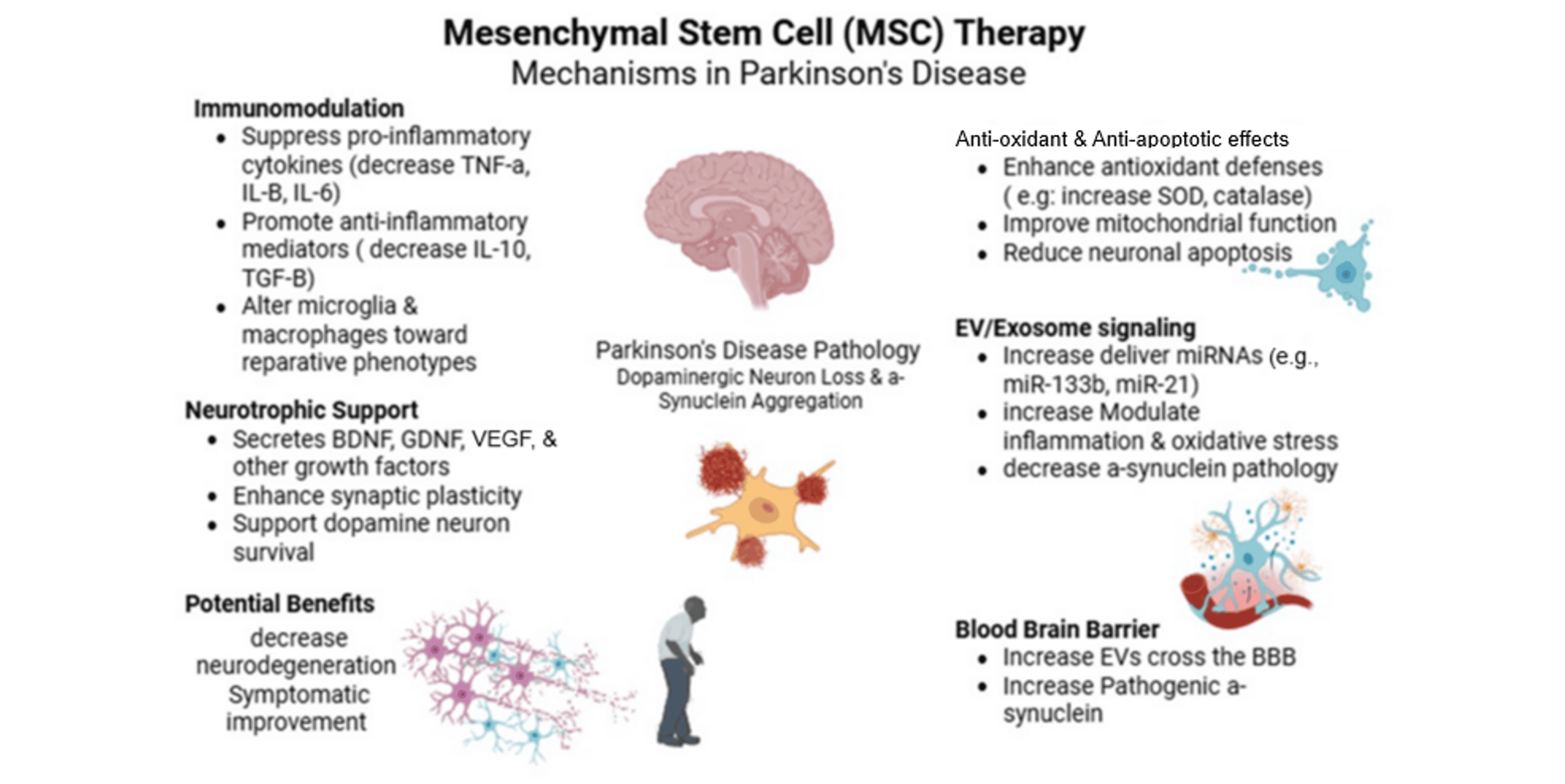 圖2：間充質(zhì)干細胞治療帕金森病的機制