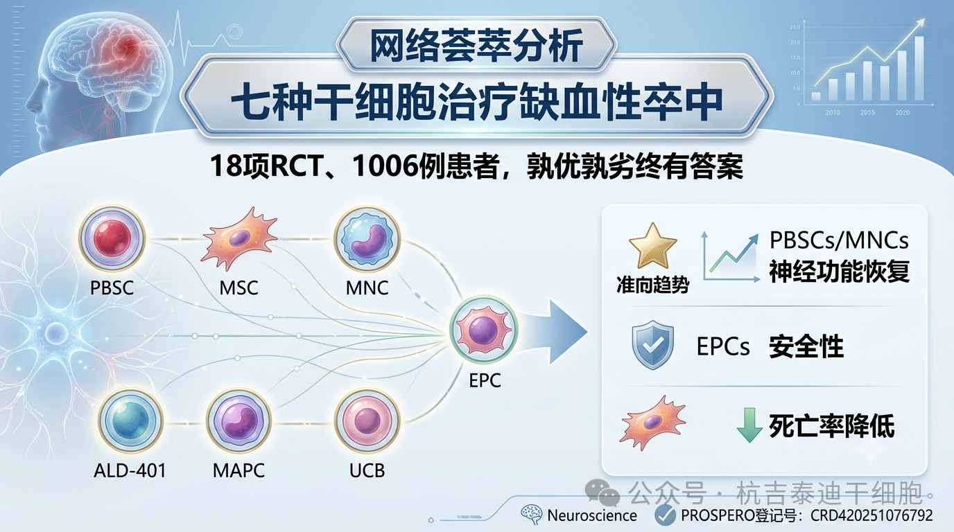 七種干細胞療法治療缺血性卒中的療效與安全性比較：一項網(wǎng)絡(luò )薈萃分析